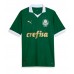 Maillot de foot Palmeiras Domicile vêtements 2024-25 Manches Courtes